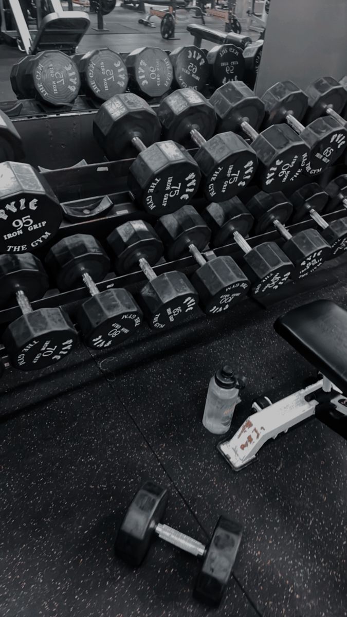 About Gym
